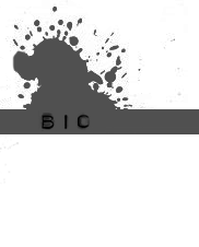 Bio